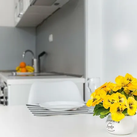 Apartament Nikola *